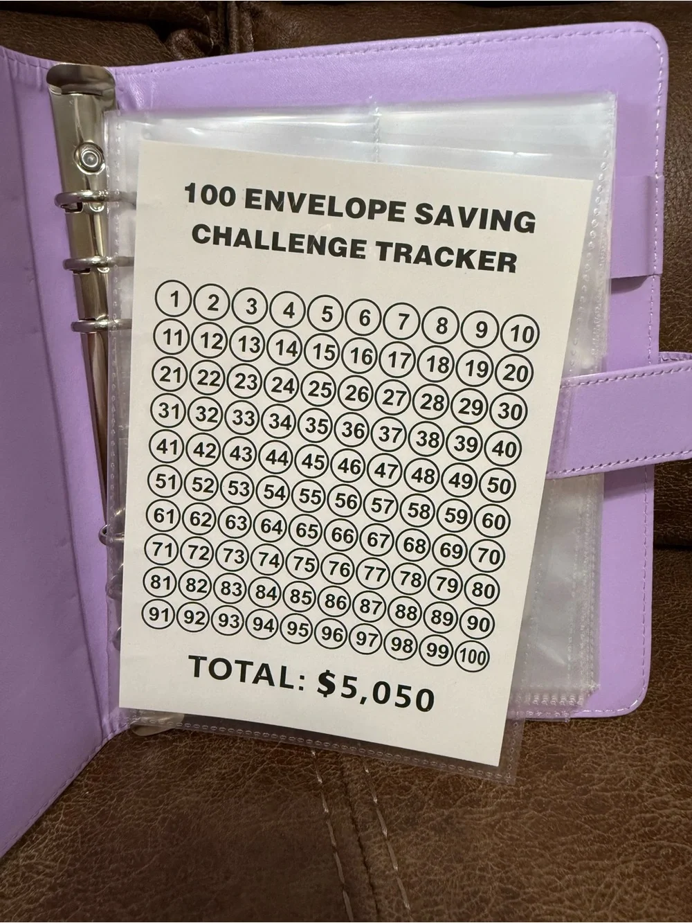 100 Envelope Savings Challenge Binder - Light Pink